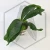20250711_111438.webp