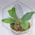 20250711_142433.webp