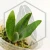 20250711_164502.webp