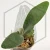 20250711_164840.webp