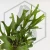 20250711_170314.webp
