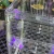 20250725_191538.webp