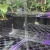 20250725_191615.webp