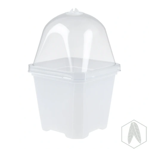Doniczka kwadratowa z pokrywką miniszklarenka 10cm.webp
