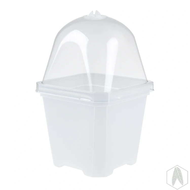 Doniczka kwadratowa z pokrywką miniszklarenka 10cm.webp