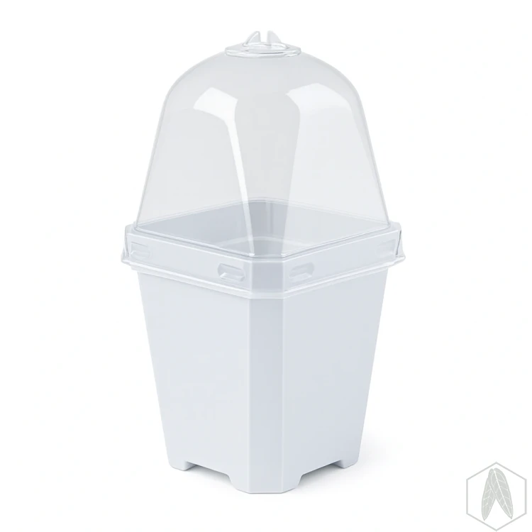 Doniczka kwadratowa z pokrywką miniszklarenka 7cm.webp