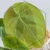 20250815_095531.webp