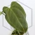 20250815_100216.webp