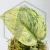 20250816_091627.webp