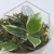 20250816_095618.webp
