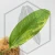 20250831_100805.webp
