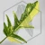 20250831_101237.webp
