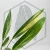 20250911_093251.webp