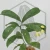 20250911_125231.webp