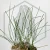 20251107_145143.webp