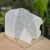20251128_170243.webp