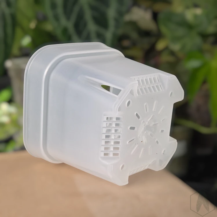 20251128_170354.webp