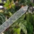 20251128_174130.webp