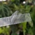 20251128_174146.webp