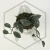 20260217_140745.webp