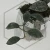 20260217_140748.webp