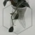 20260217_140751.webp