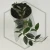 20260217_140834.webp