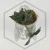 20260217_140950.webp
