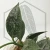 20260217_141018.webp
