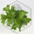 20260217_162716.webp