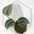 20260217_163045.webp