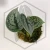 20260217_163207.webp