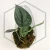 20260217_163259.webp
