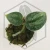 20260217_163320.webp