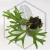 20260217_163748.webp
