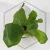 20260217_164555.webp