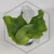 20260217_164623.webp