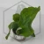 20260217_164643.webp