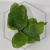 20260217_164710.webp