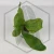 20260217_164747.webp