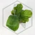20260217_164815.webp