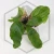 20260217_164850.webp
