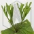 20260217_164950.webp