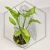 20260217_165103.webp