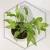 20260217_165117.webp