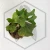 20260217_165151.webp