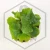 20260217_165248.webp