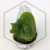 20260217_165300.webp