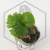 20260217_165313.webp