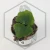 20260217_165326.webp
